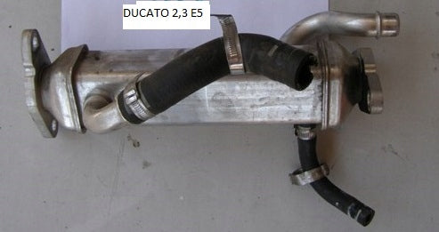 Chłodniczka chłodnica EGR 2.3 JTD Euro 5 FIAT DUCATO